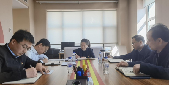 集團(tuán)第四黨支部組織召開2022年度 組織生活會